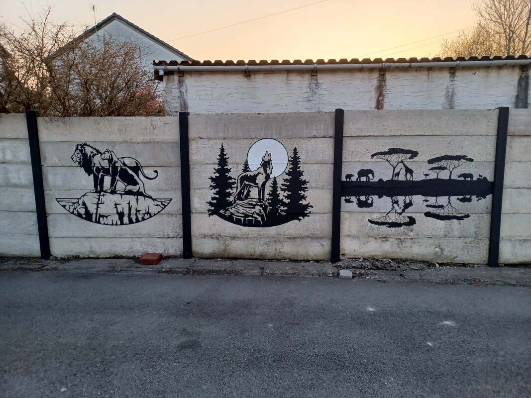Picture