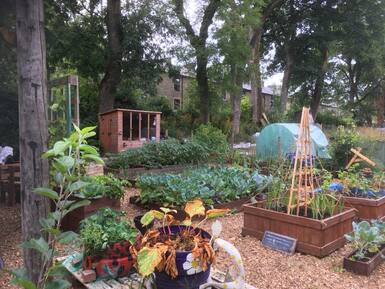 ​The ‘Dig for VIC’ and the allotment were projects funded in 2014 through a Social Prescribing grant and the Army Benevolent Fund. 